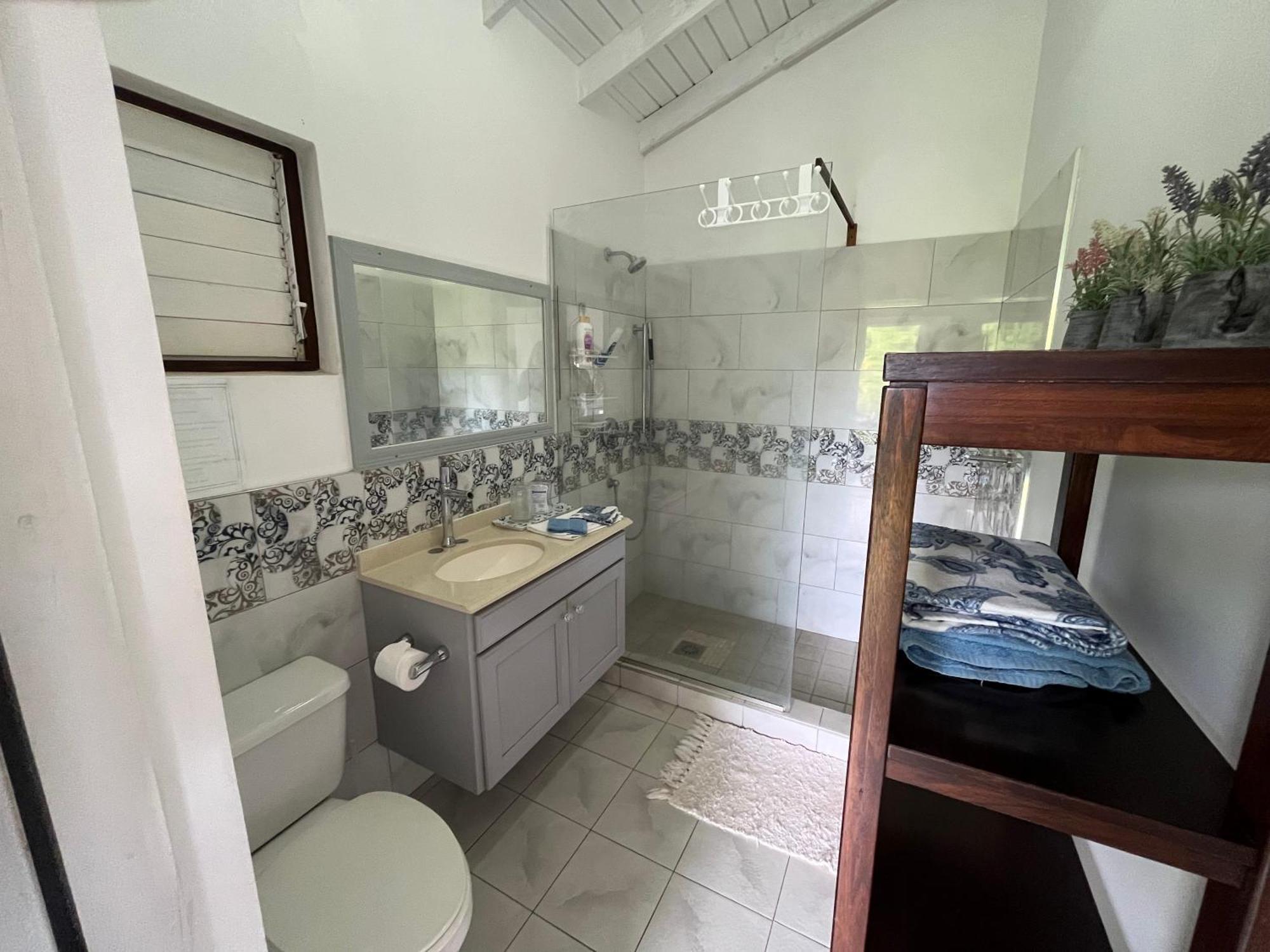 Waves Villa Guesthouse キングスタウン エクステリア 写真