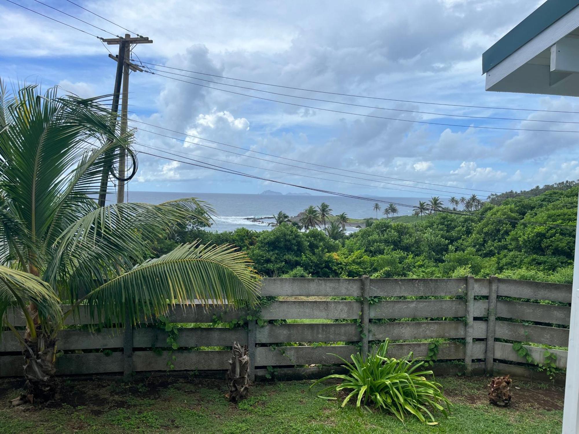 Waves Villa Guesthouse キングスタウン エクステリア 写真