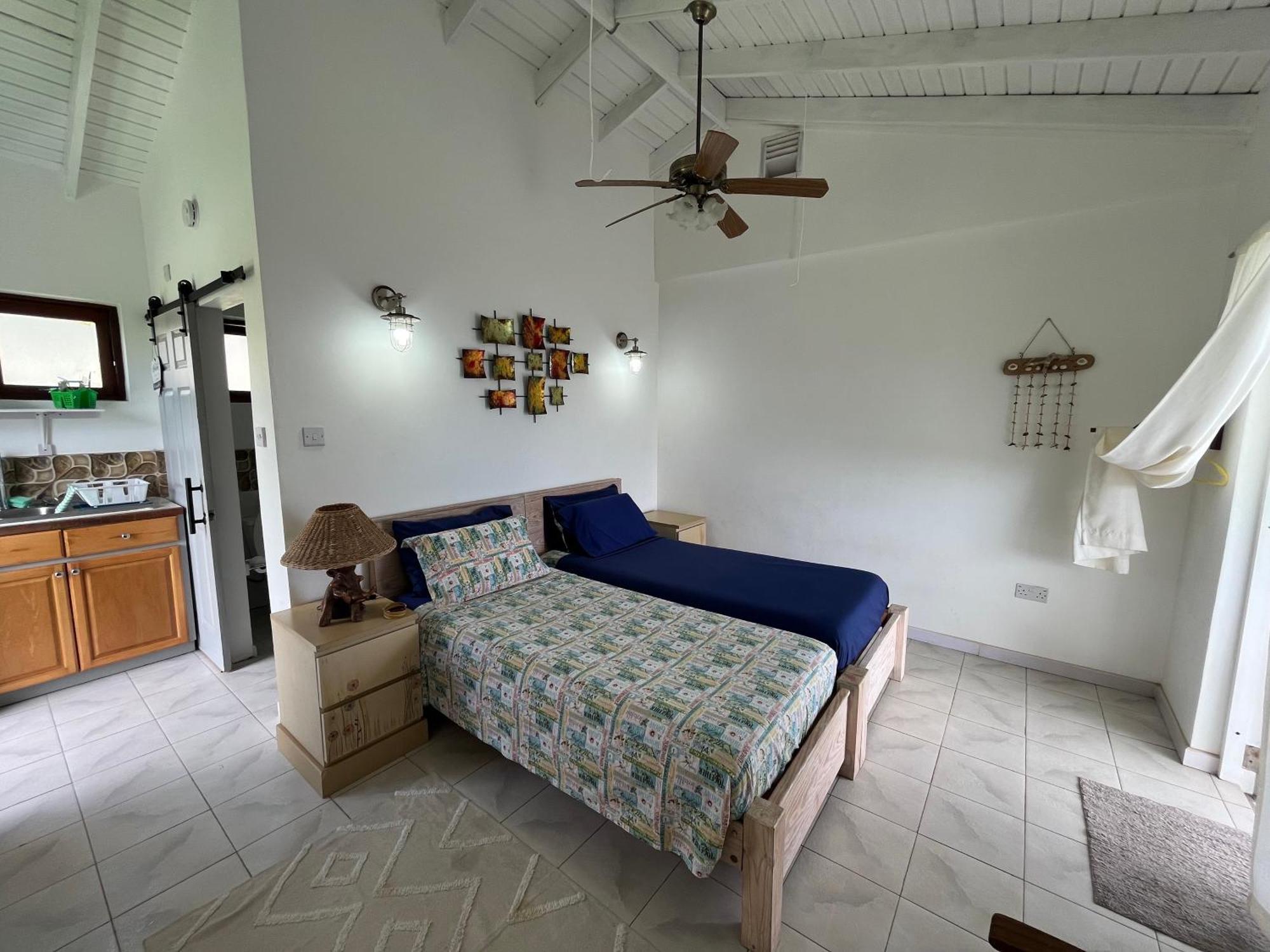 Waves Villa Guesthouse キングスタウン エクステリア 写真