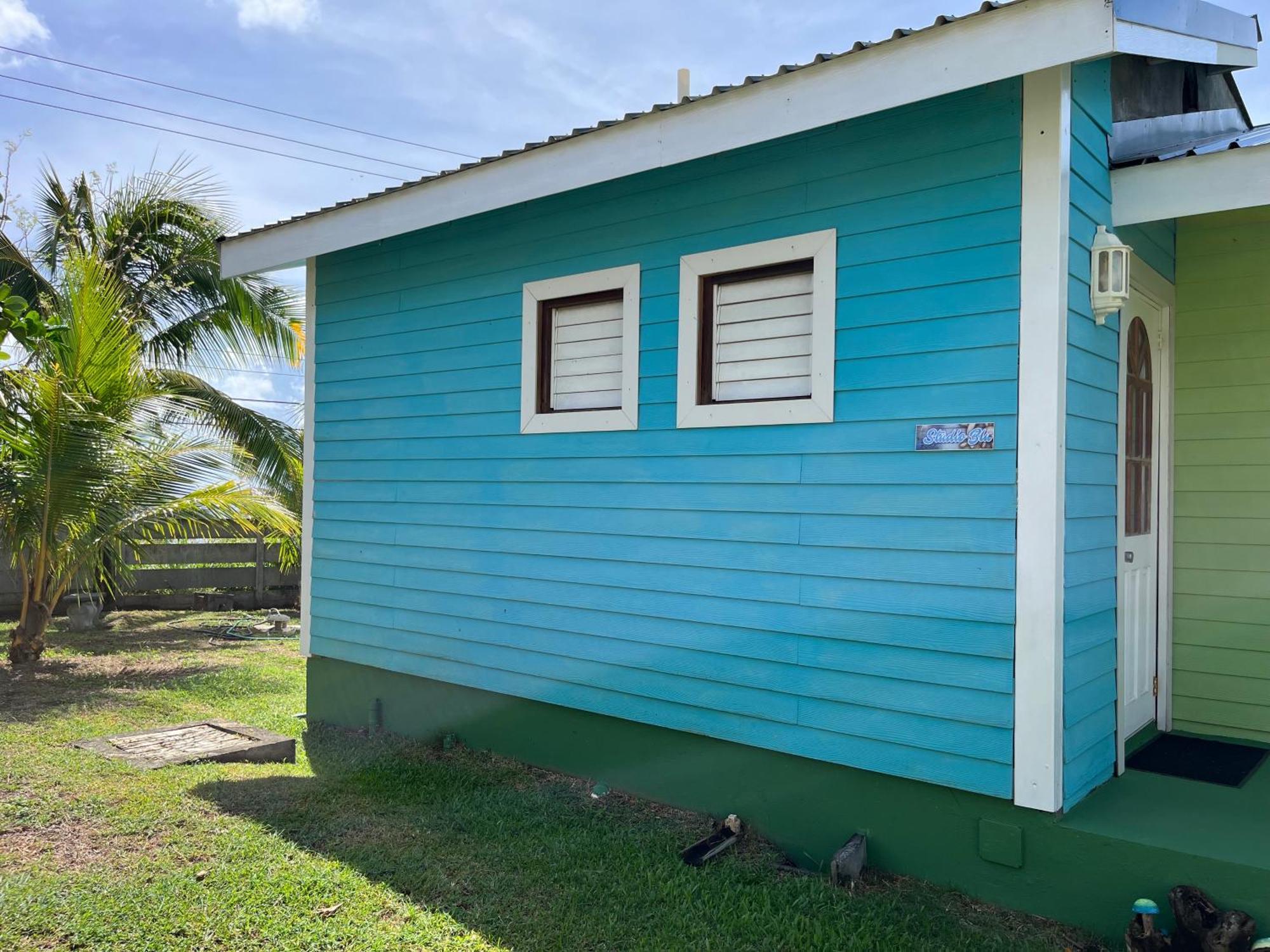 Waves Villa Guesthouse キングスタウン エクステリア 写真