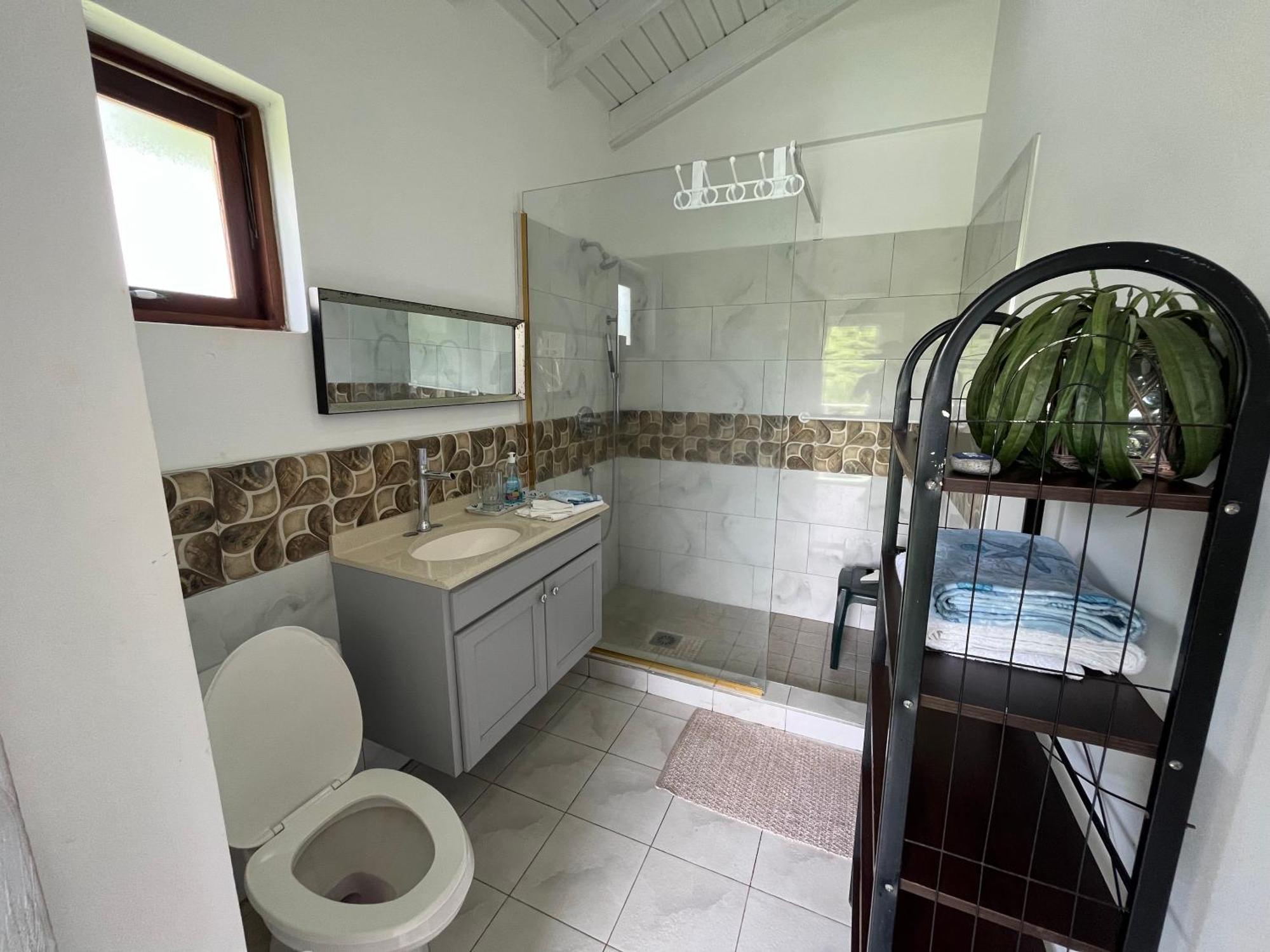 Waves Villa Guesthouse キングスタウン エクステリア 写真
