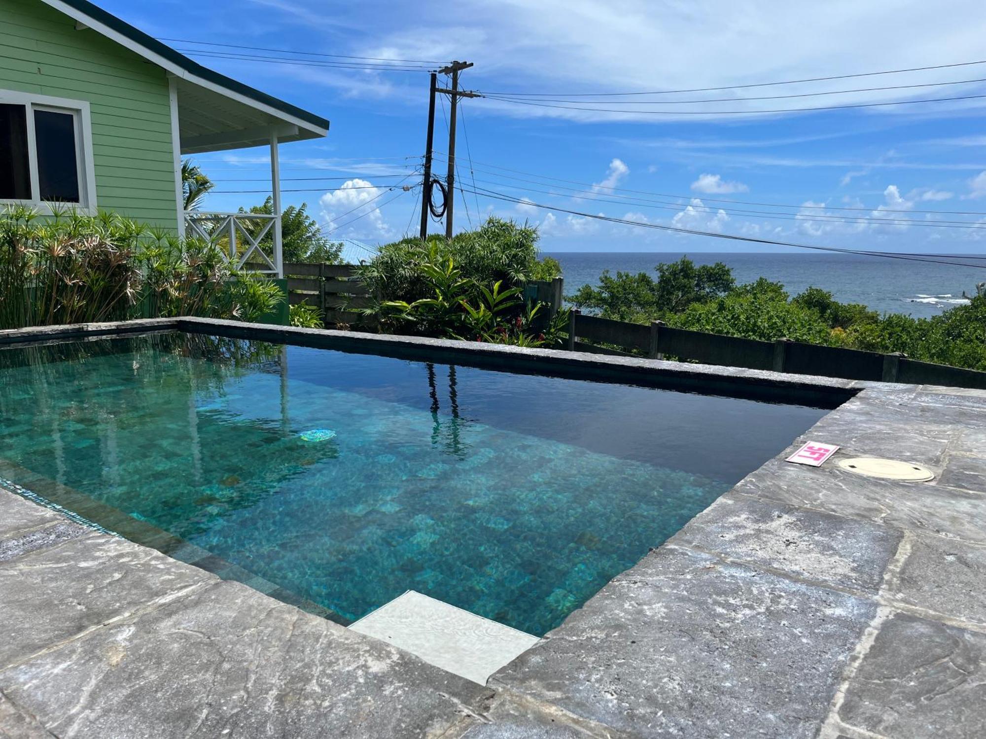 Waves Villa Guesthouse キングスタウン エクステリア 写真